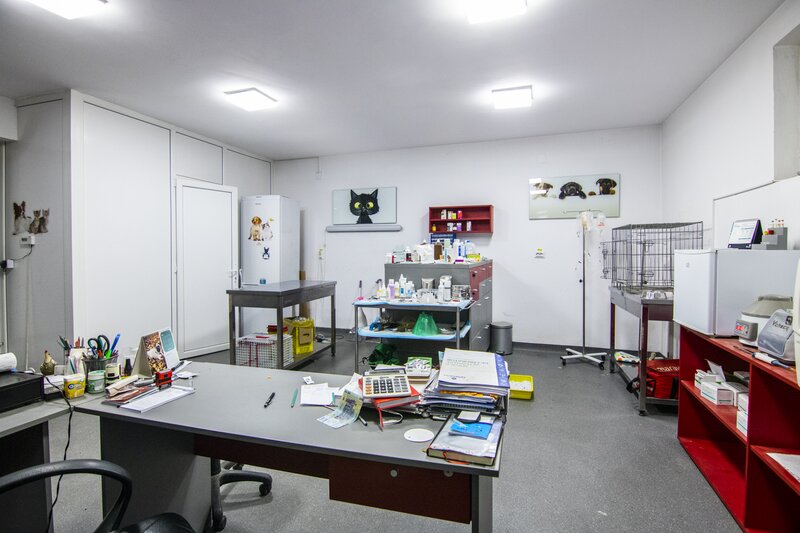 Brancoveanu zona case/ vile STB, spatiu birou